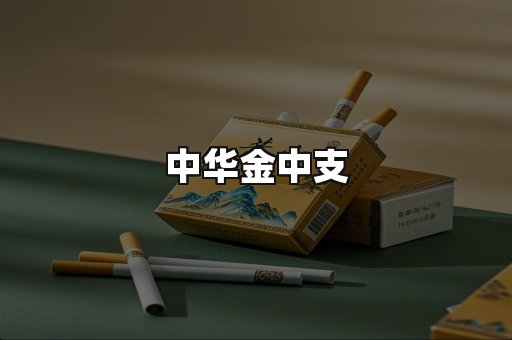 中华金中支